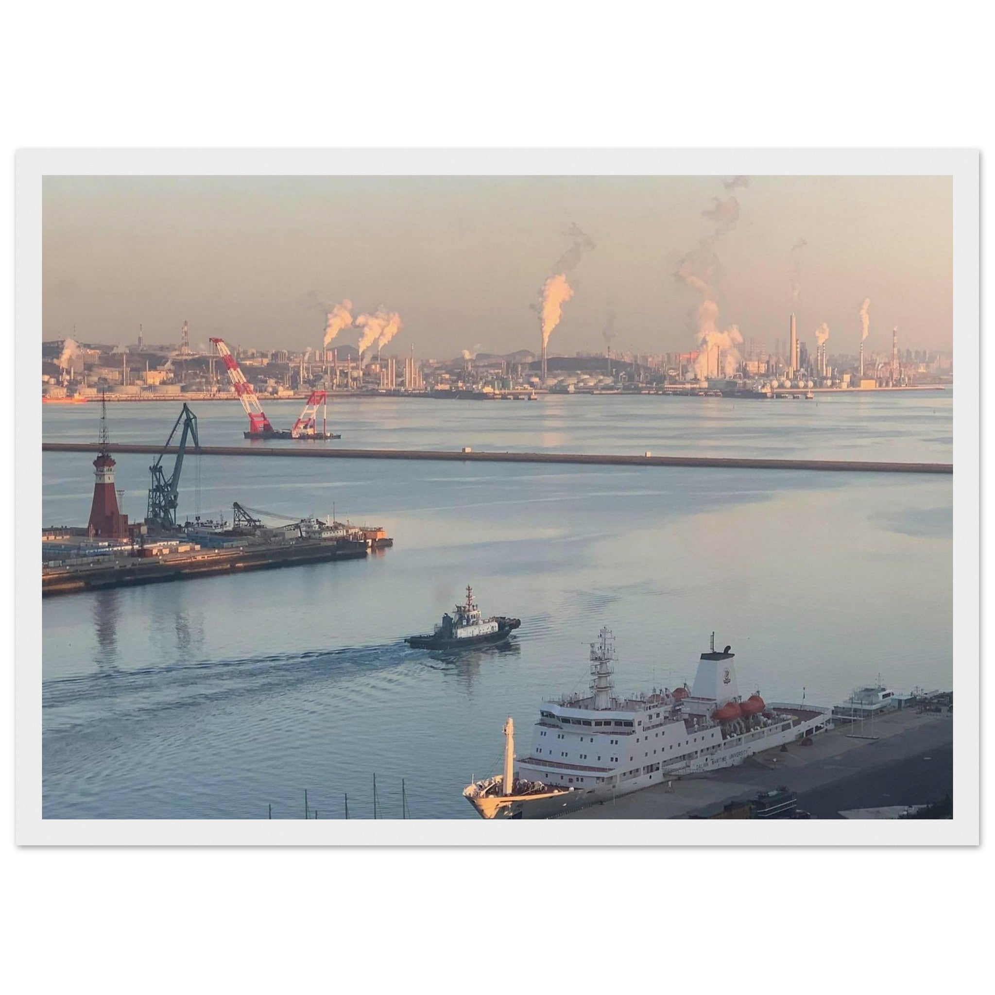 aed16982-2e7f-4c80-893e-f30740d6e900
