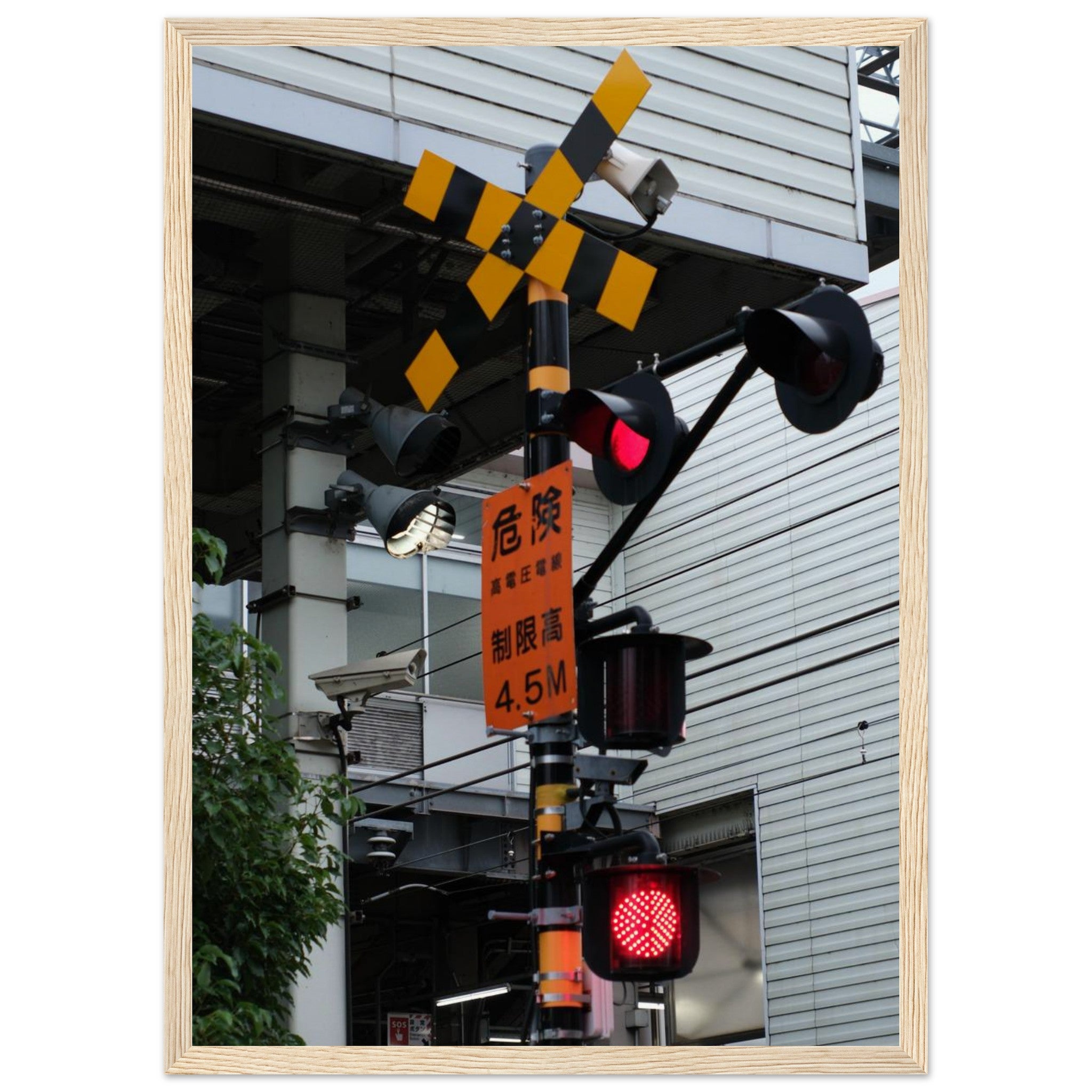 d9922b81-409e-4af4-ac03-ab369c9918ba